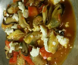 Mussels