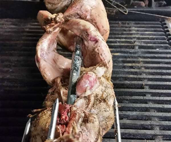Rabbit on the spit