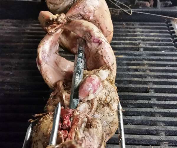 Rabbit on a spit