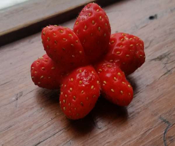 Strawberries