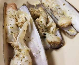 Razor clams